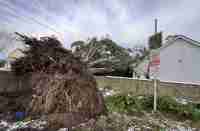 Storm Éowyn damage