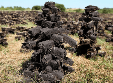 Ban on the sale of turf